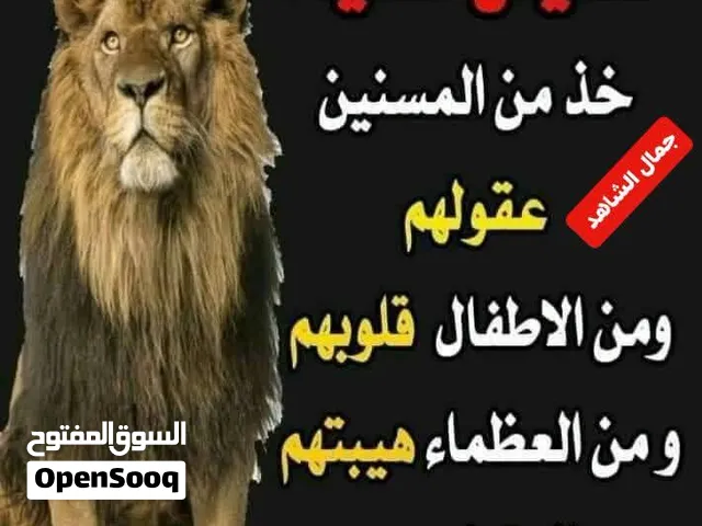 مطلوب أشخاص لمده يومين موظف فسجل تجاري فقط لمده يومين مقابل عموله