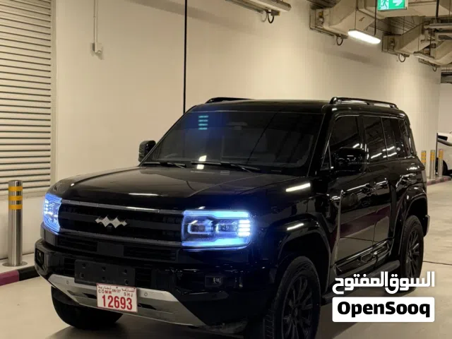 2025 بي واي دي ليوبارد 5