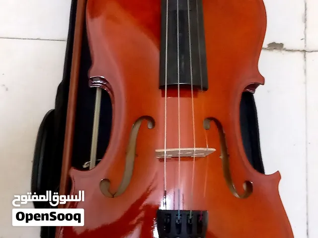 A violin in pristine condition