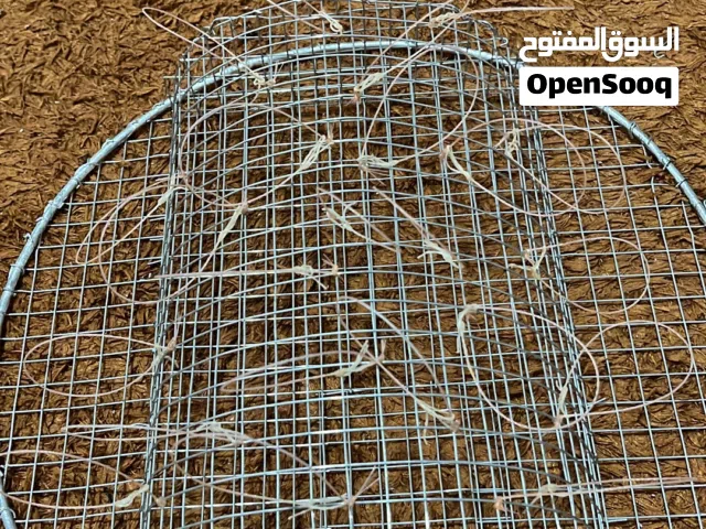مصيدة صقور او شرايص