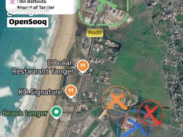 للبيع أرض عقارية مميزة بأشقار طنجة 39000 متر مربع بإطلالة على البحر