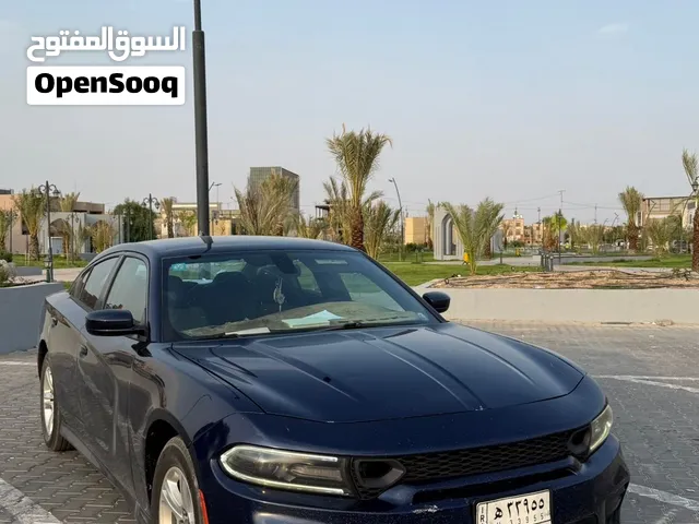 Used Dodge Challenger in Basra