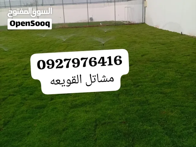 مشاتل القويعه للعشب الصيفي والشتوي وجميع الاشجار الزينه والمتمره المكان القر ه بوللي القويعه