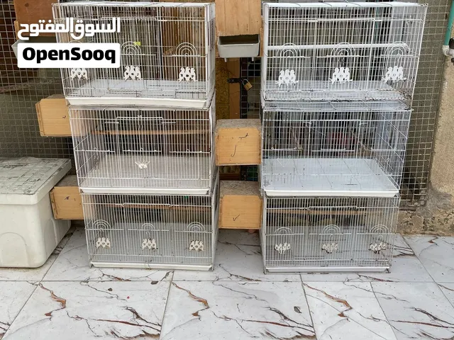 خانات طيور حب