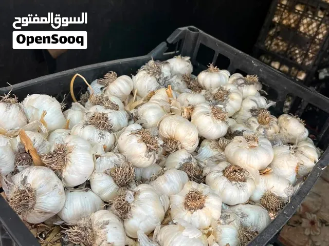 ثوم تركي للبيع بالجملة – جاهز للتصدير إلى العراق