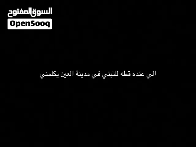 رقم التواصل