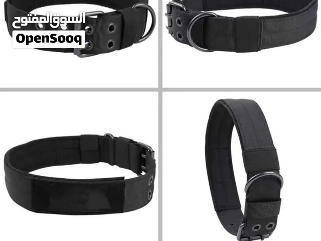 dog collar and leash