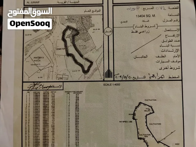 للبيع مزرعة في قرية الجويف ولايه محضه زراعية مميزة
