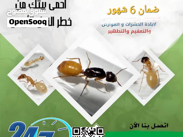 مكافحة الحشرات والزواحف والقوارض