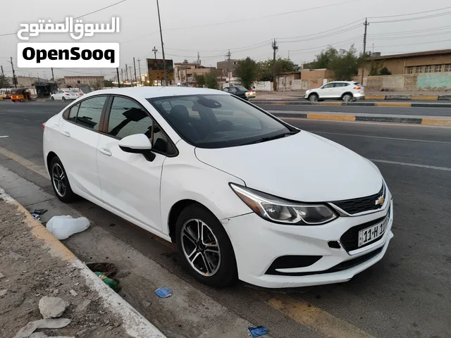 شوفر كروز 2018