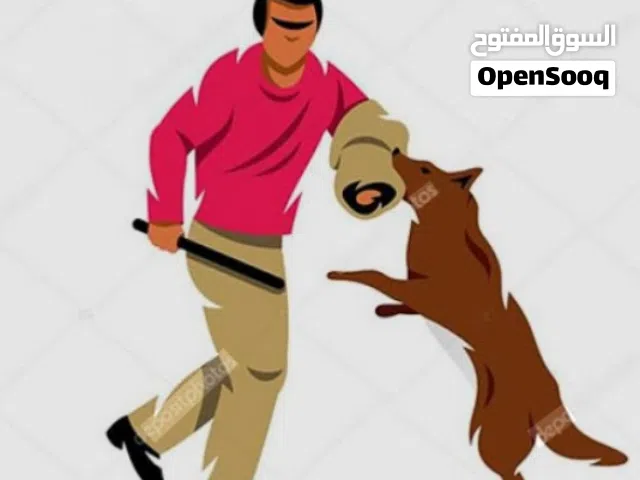 اكاديميه الكلب المثالي