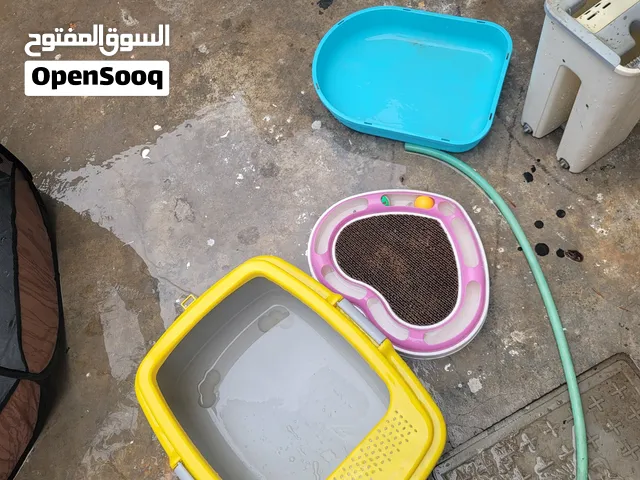 مستلزمات قطة