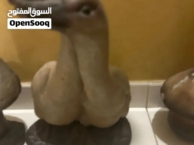 تحفة بطة - للحدايق