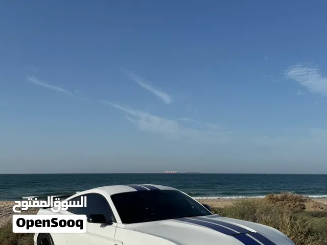 FORD MUSTANG GT 5.0