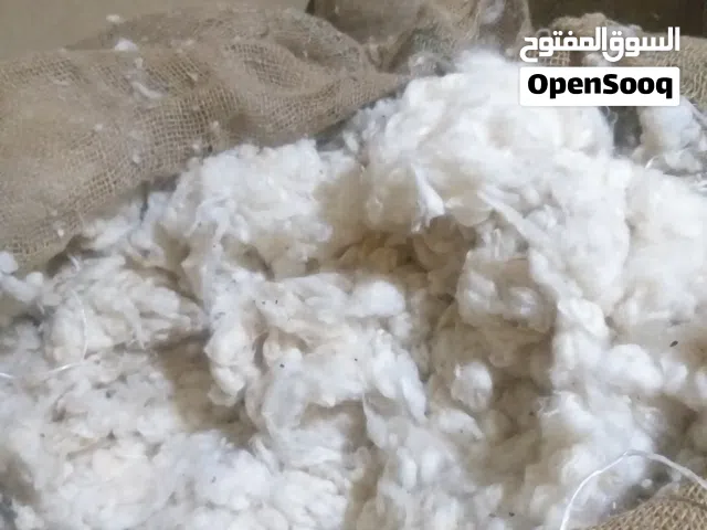 قطن بلدى درجه اولى ممتاز تعبئه  فلاحين وليس مصنع