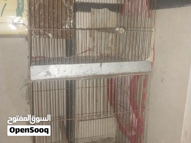 قفص حمام حديد كبير دورين