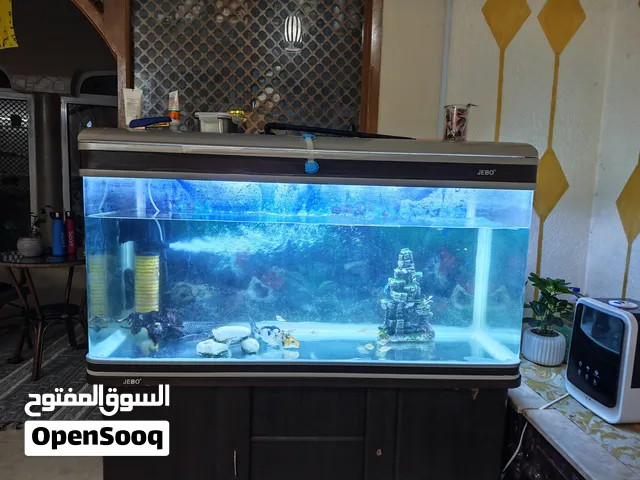 حوض أسماك الزينة ممتاز من شركة JEBO