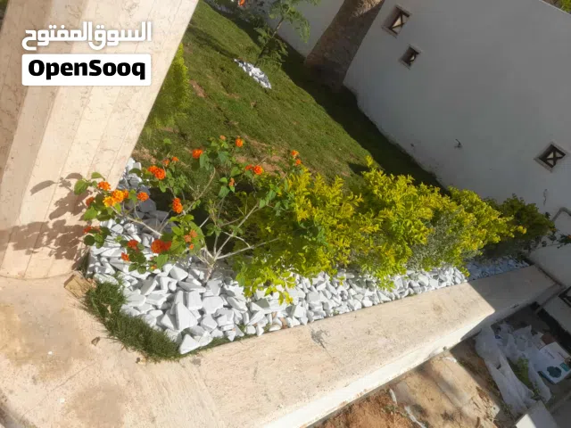 تنسيق الحدائق والمزارع