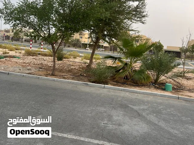 اشجار للبيع