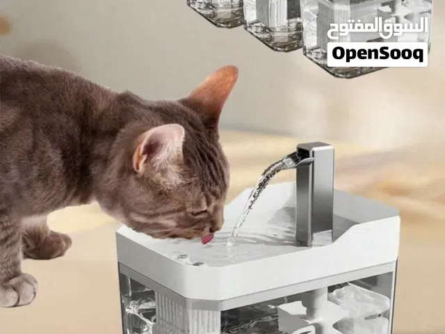 Cat water fountain/نافورة مي