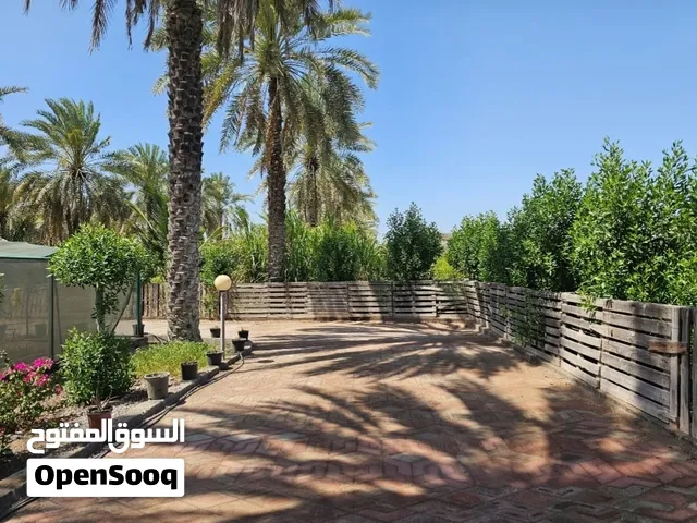 للبيع أرض زراعية متنوعة ومزرعة مساحة 32 ألف مترمربع في بركاء الرميس والشخاخيط