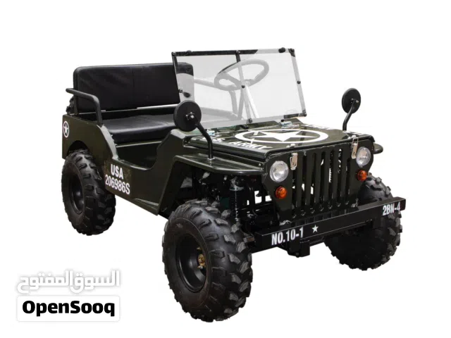 MINI JEEP BUGGY (150cc)