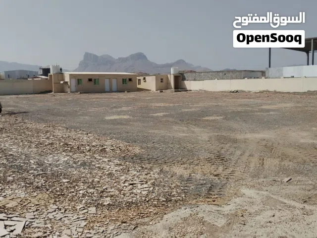 3000 square meters of land for rent. Include 3 rooms with 3 washrooms and a kitchen available.