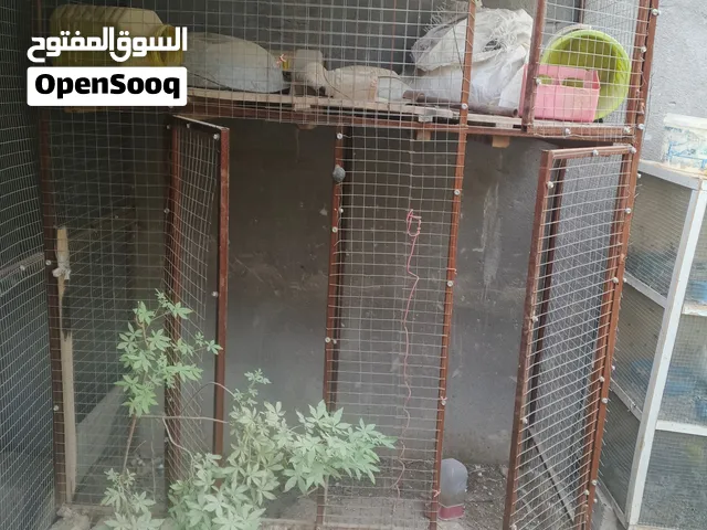 قفص كبير واجهه وصفحه وسكف