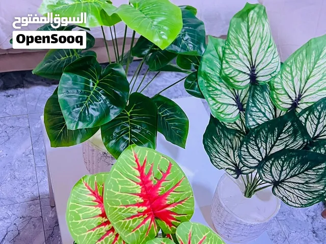 اشجار اصطناعية جديد