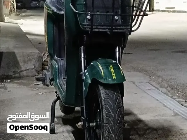 دراجة شحن WINLEE R9