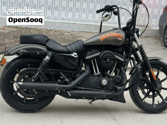 هارلي سبوستر نظيف
