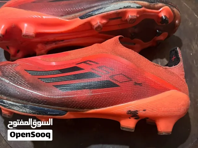 kodasse F50+