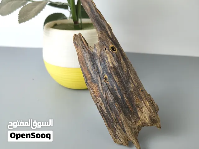 قطعة عود سومطري طبيعي 46 جرام