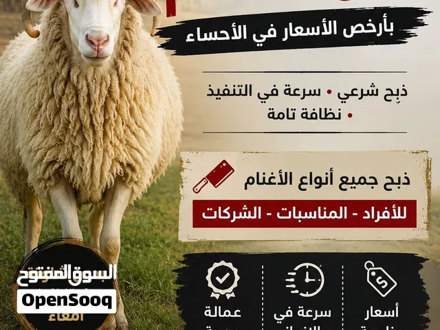 جزار مصرى لدبح الاغنام