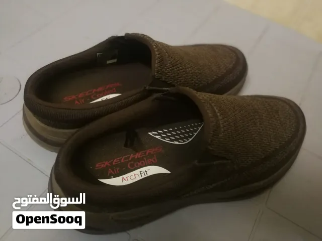 سكتشر أصلي