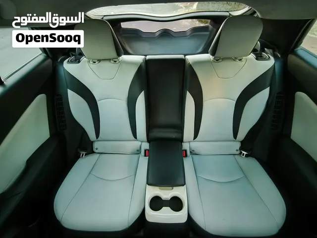 كراسي بريوس جلد