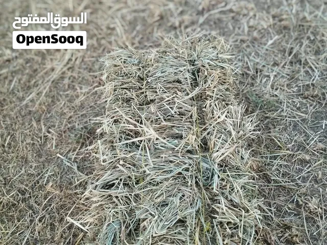 ربط حشيش كبار