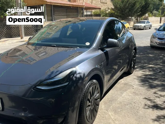 تيسلا y موديل 2020