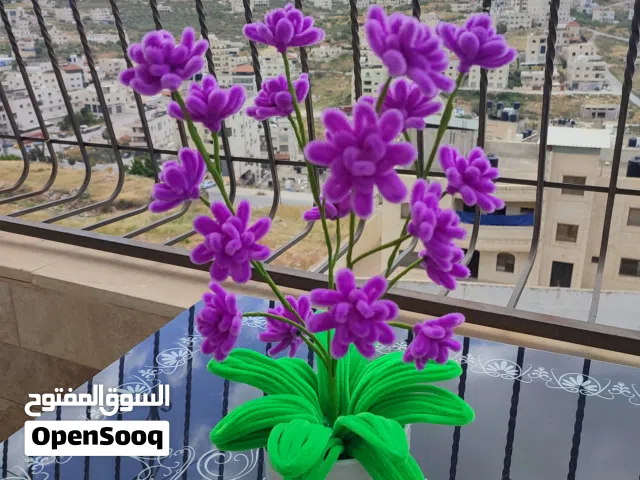 ورود مخملية جميلة تناسب كل الاذواق