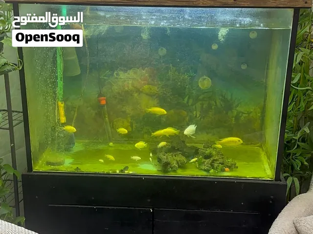 حوض للبيع 1