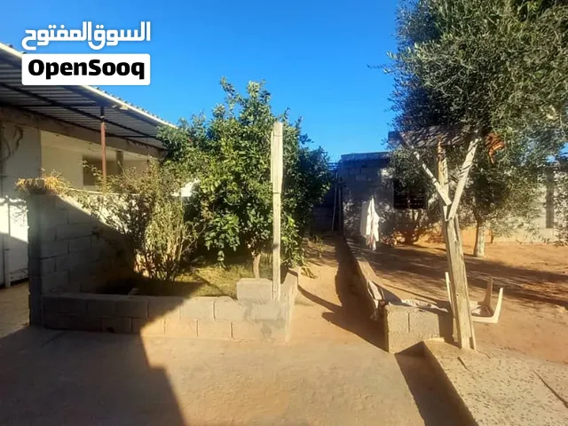 ارض للبيع فيها منظم كهرباء و2شجر زيتون وعنبه وشجره ليمون وشجره برتقال