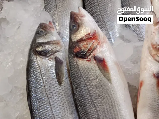 عروضاسماك  دائما مميزة وتوصل سريع ومميز