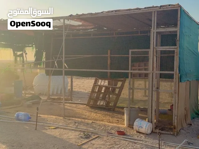 للبيع قفص كبير