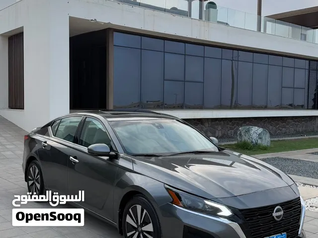 التيما 2019
