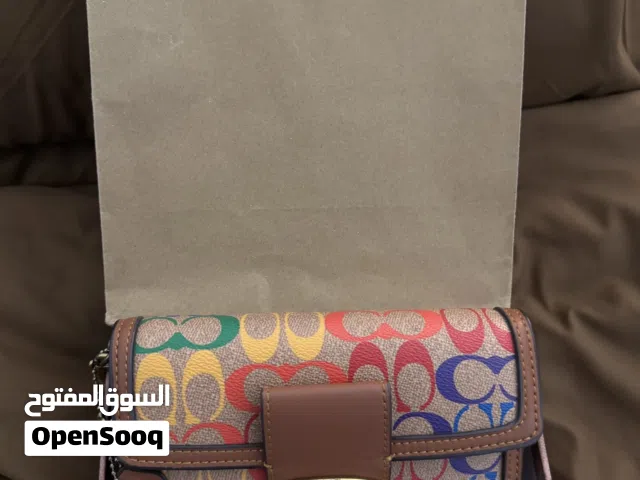 COACH BAG (Small)