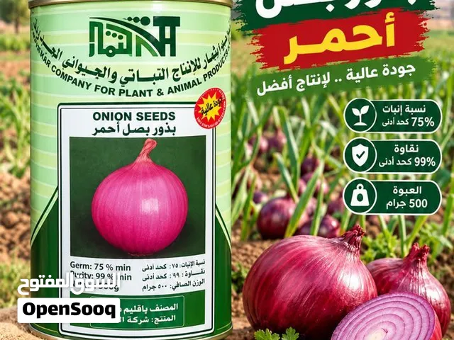 بصل بافاطيم رقم واحد