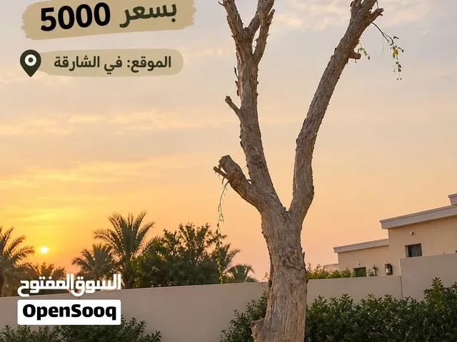 غافه للبيع