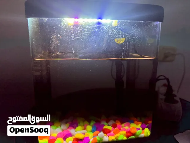 حوض سمك متوسط الحجم للبيع