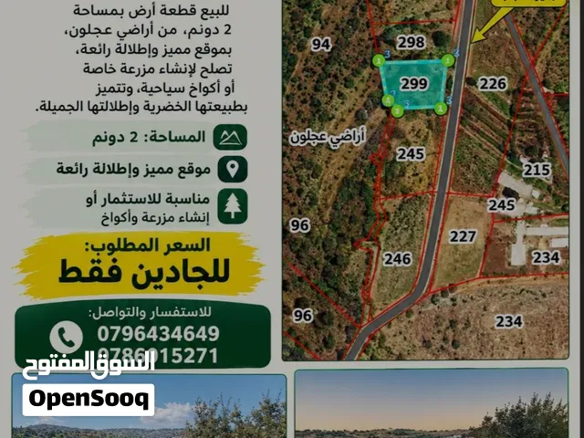 ارض للبيغ في عجلون منطقه مرتفعه مساحتها 2000 متر مربع