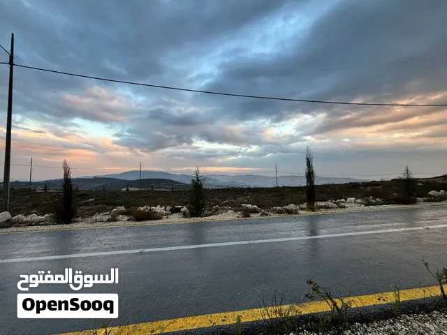 Residential Land for Sale in Nablus Asira Ash-Shamaliya
